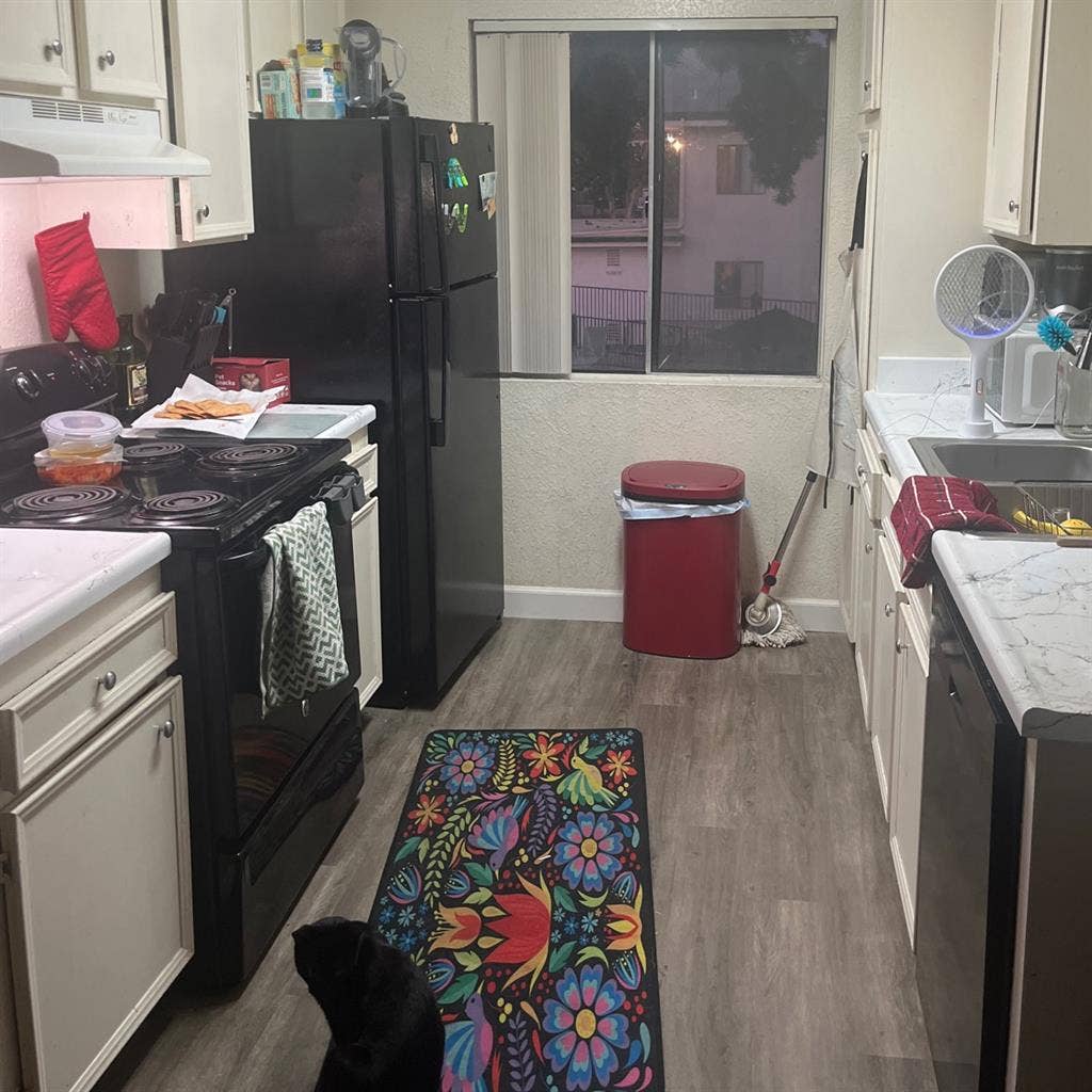 I’m seeking mature FEMALES ONLY