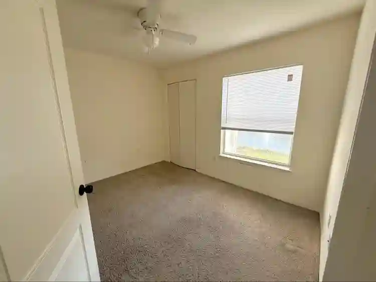 Looking for a female roommate