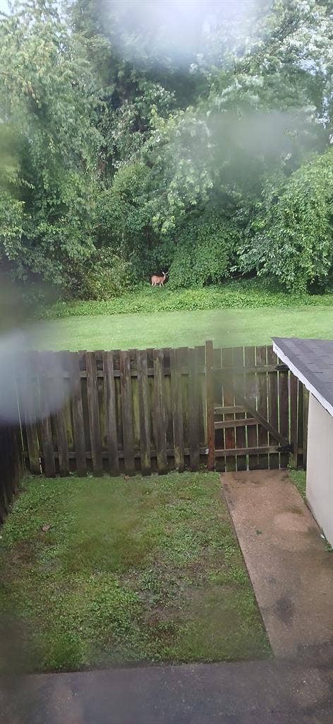 Looking for a roomate