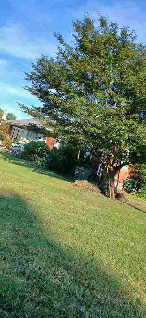 Looking for a roomate