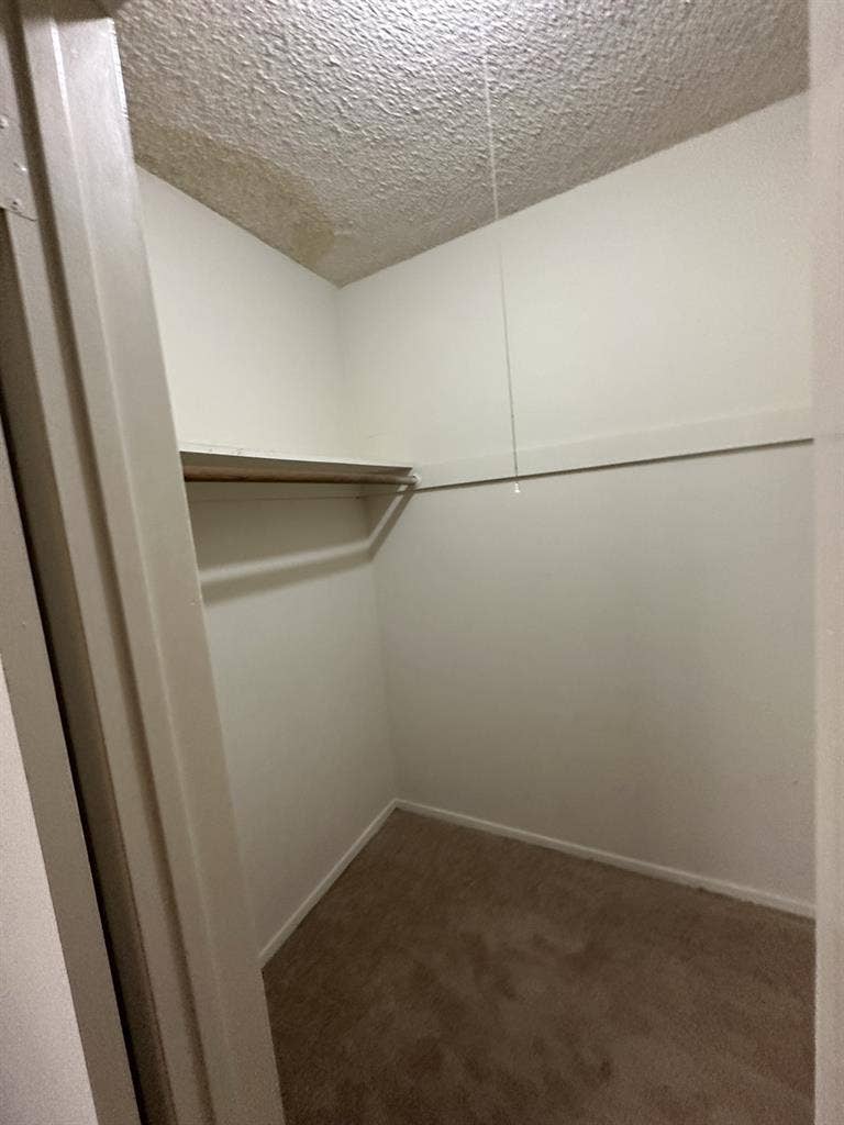 rooms available in Santa Monica