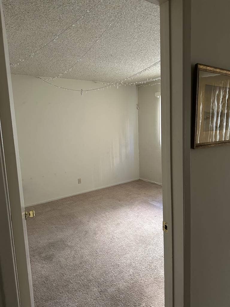 rooms available in Santa Monica