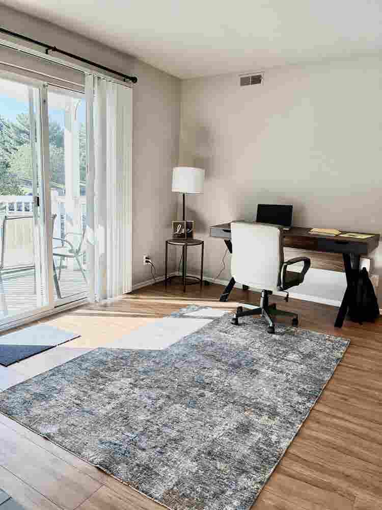 Beautiful sunlight filled apartment