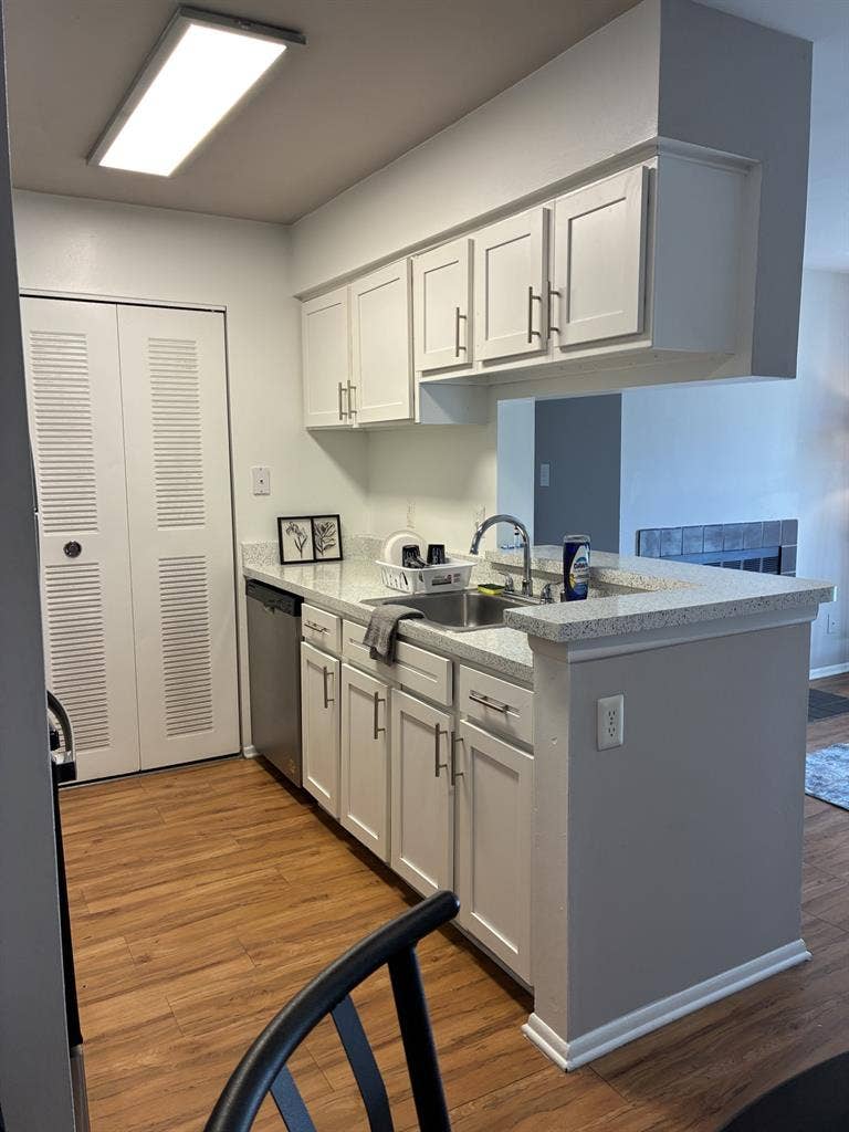 Beautiful sunlight filled apartment