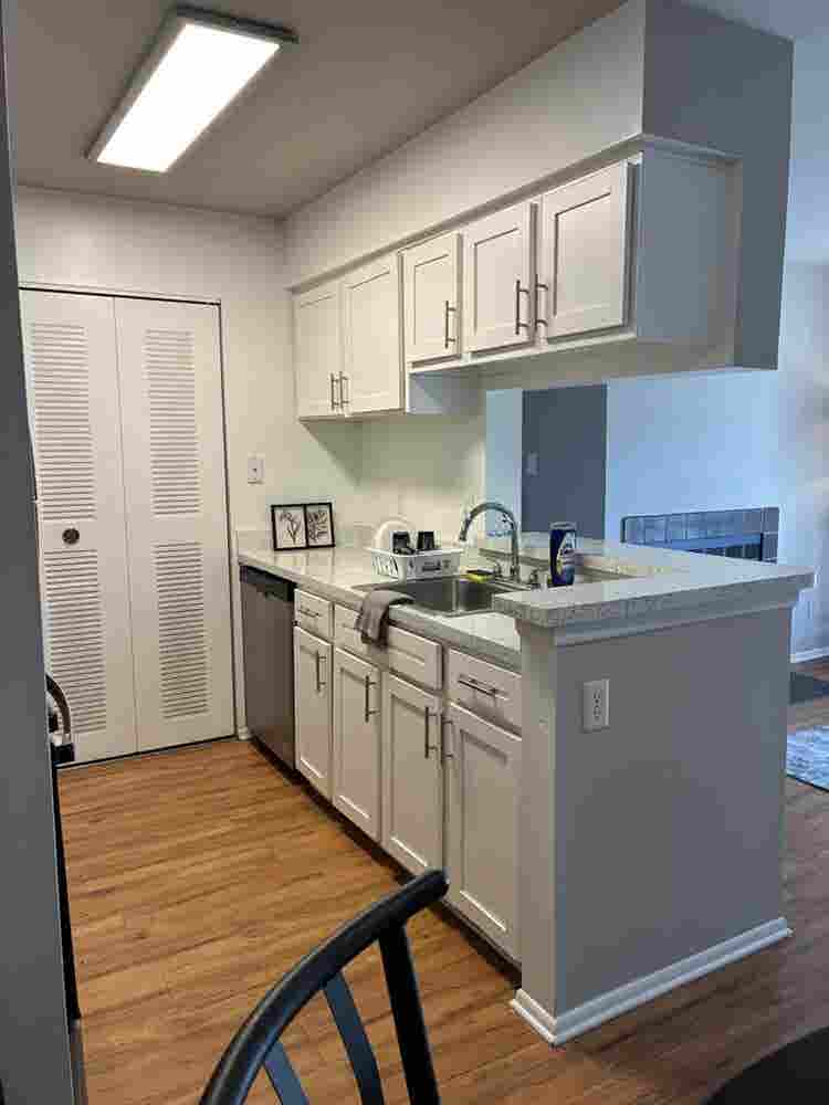 Beautiful sunlight filled apartment