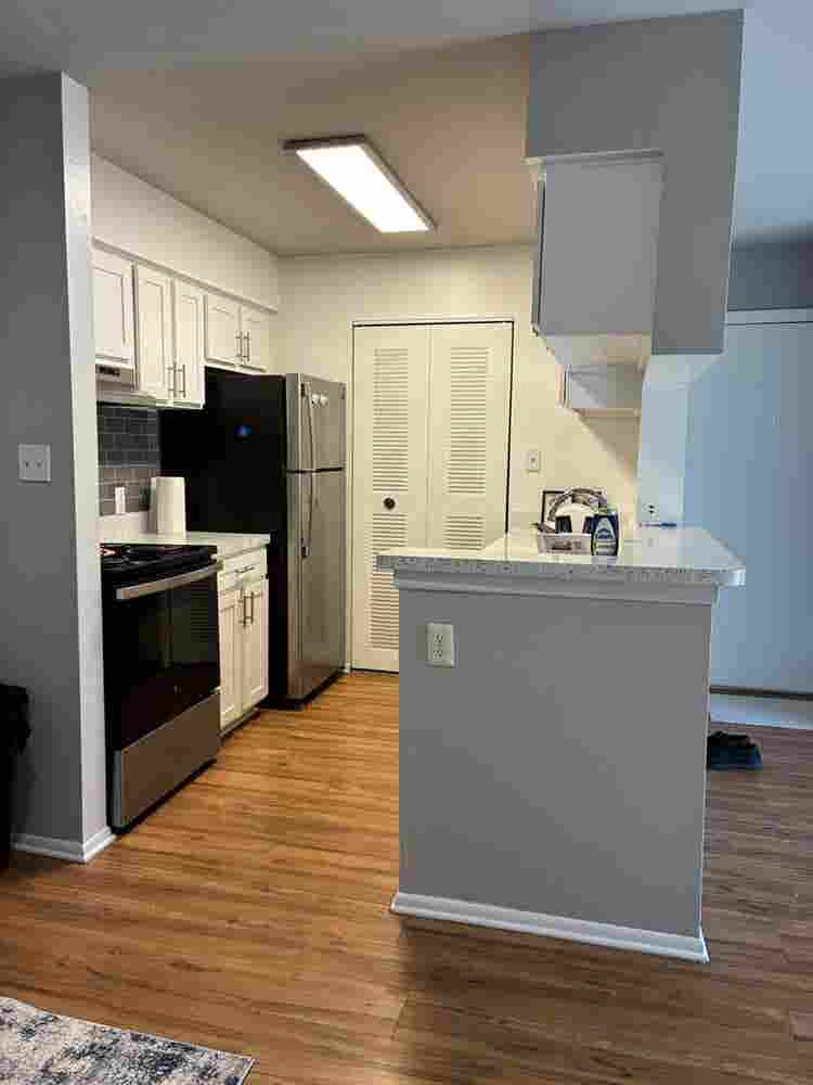 Beautiful sunlight filled apartment