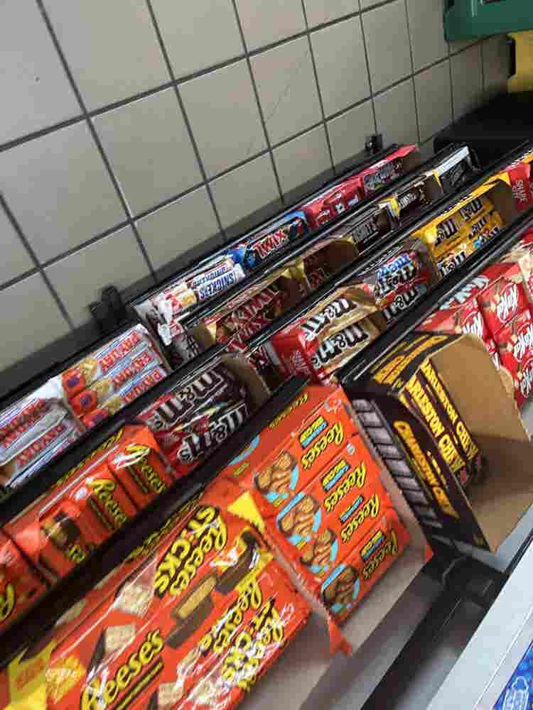 Beautiful sunlight filled apartment