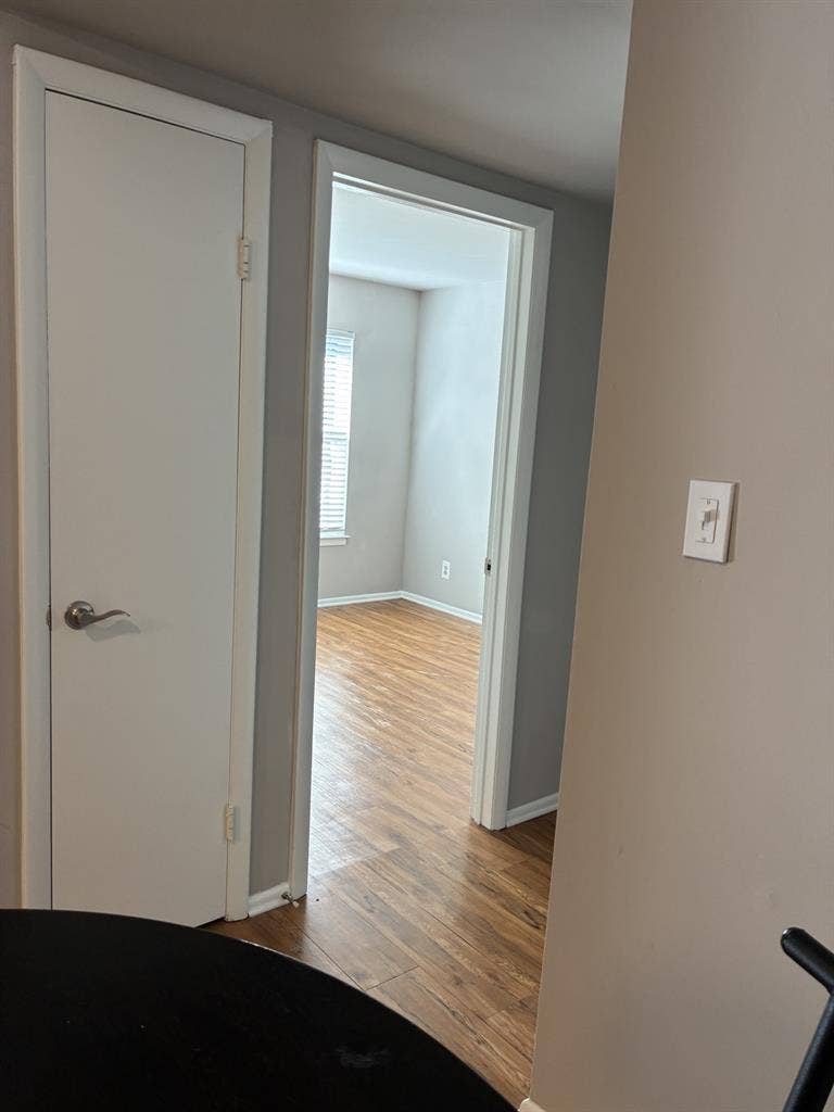 Beautiful sunlight filled apartment