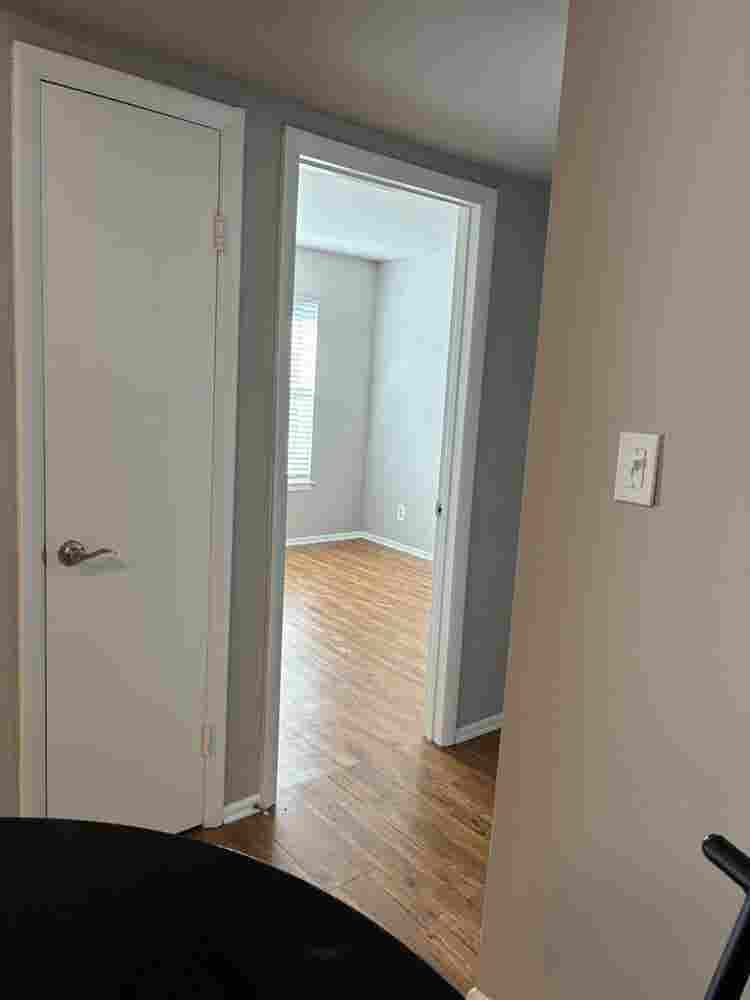 Beautiful sunlight filled apartment