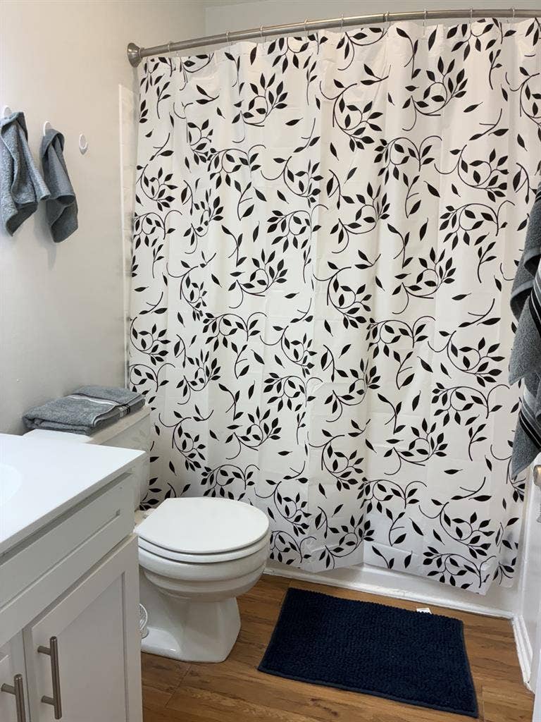 Beautiful sunlight filled apartment