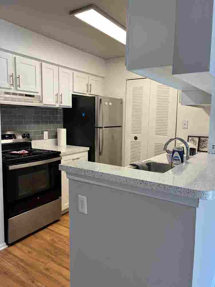 Beautiful sunlight filled apartment