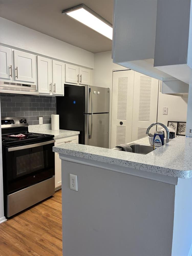 Beautiful sunlight filled apartment