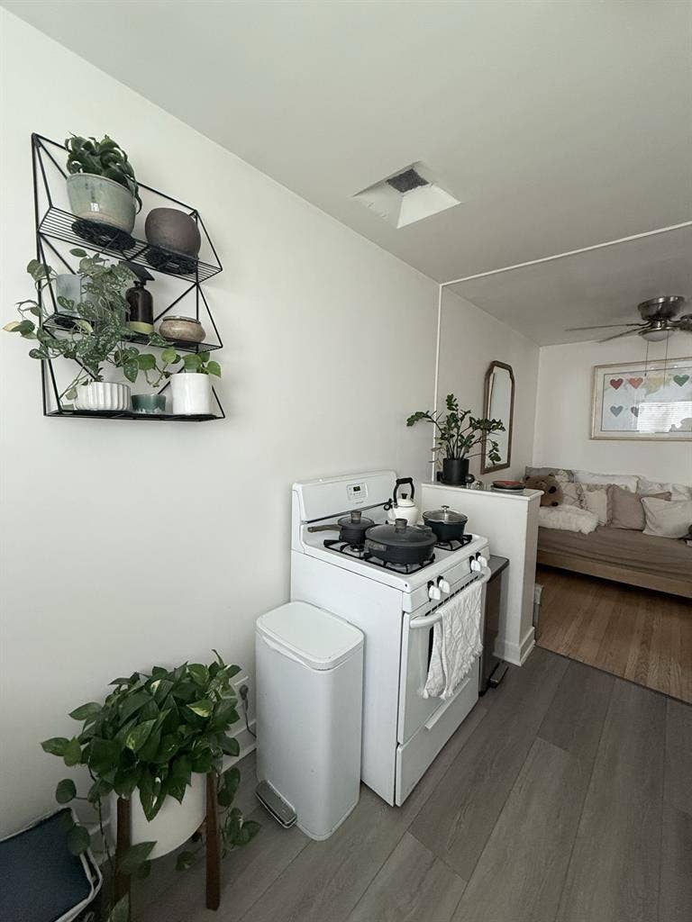 Nice room in pico robertson area