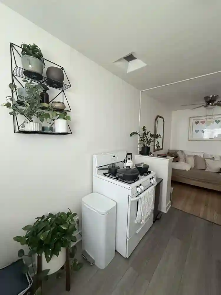 Nice room in pico robertson area