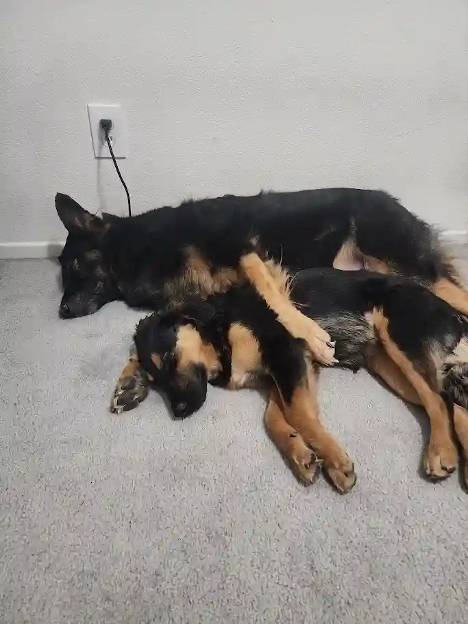 Room w/ private bath for rent in SW