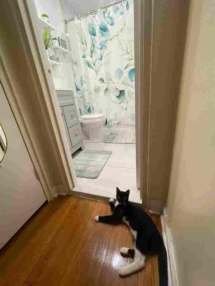 Furnished Big room near the 2 train