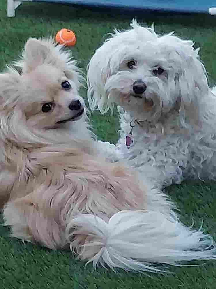 STOP LOOKING, YOU'LL WANT THIS ROOM