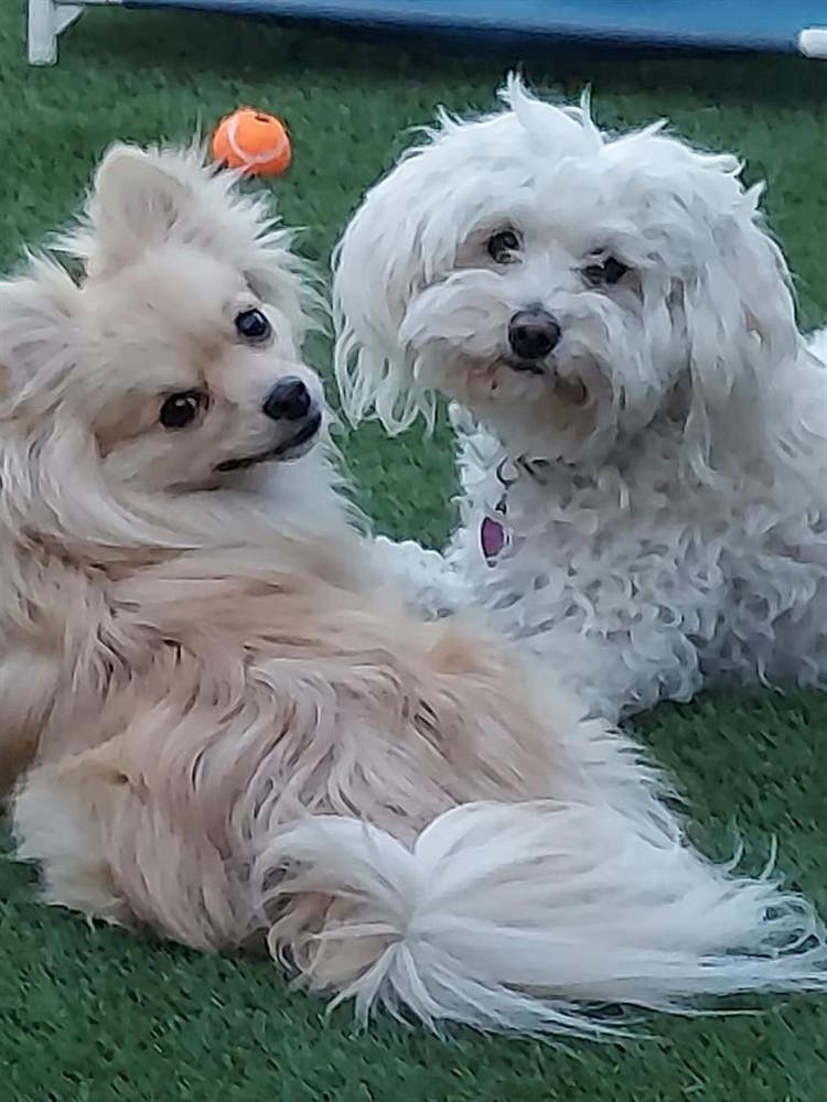 STOP LOOKING, YOU'LL WANT THIS ROOM