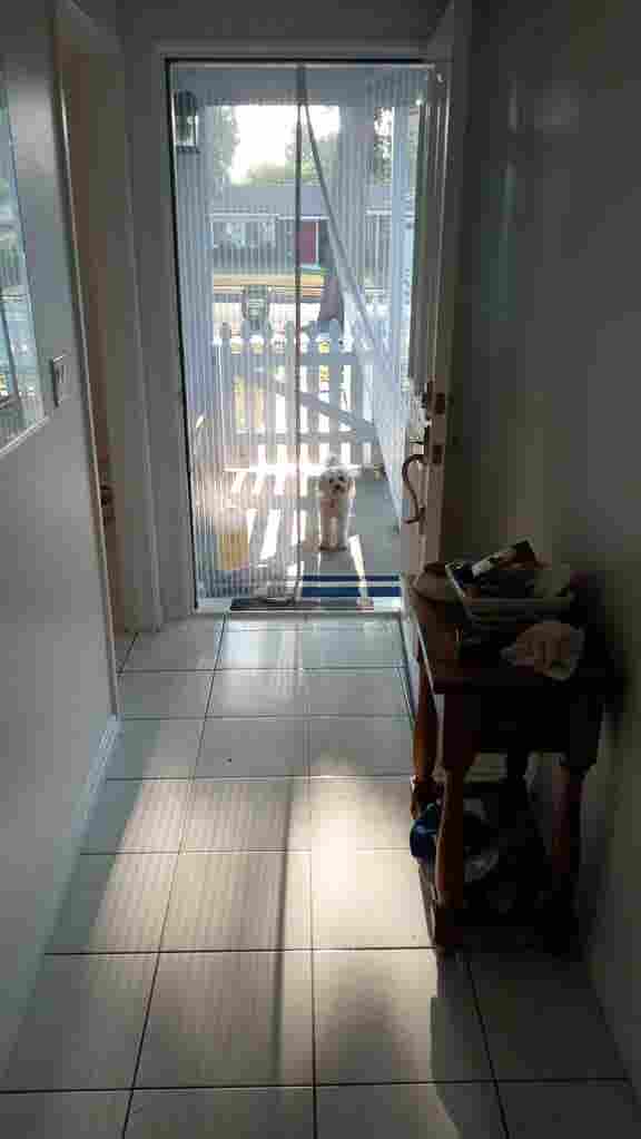 STOP LOOKING, YOU'LL WANT THIS ROOM