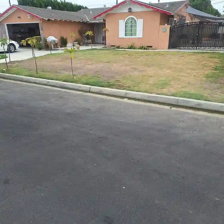 Large westminster room for rent.