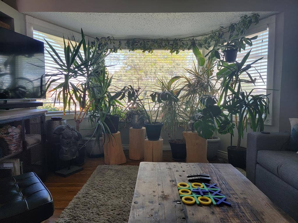 Bedroom for Rent in Killarney SW
