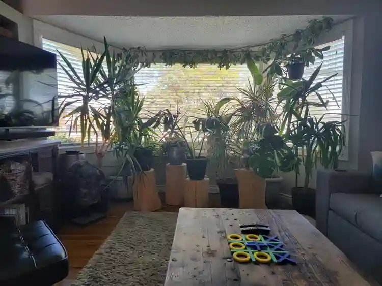 Bedroom for Rent in Killarney SW