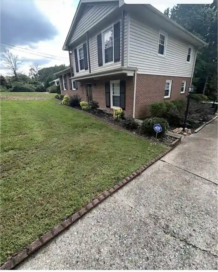 Looking for a female tenant