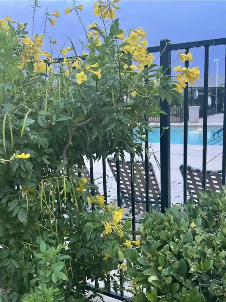 second master, full private bath