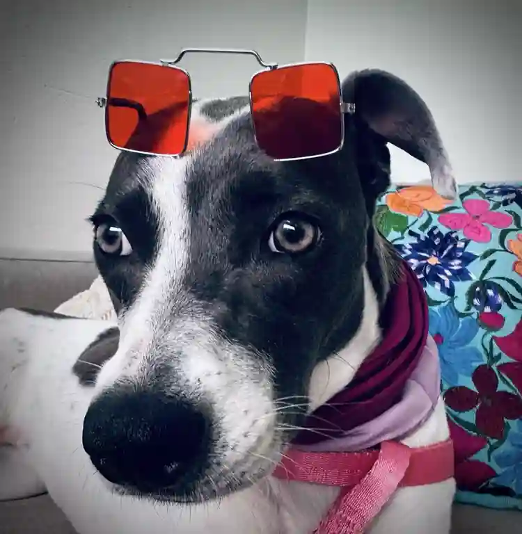 Roommate Wanted in Medical Center