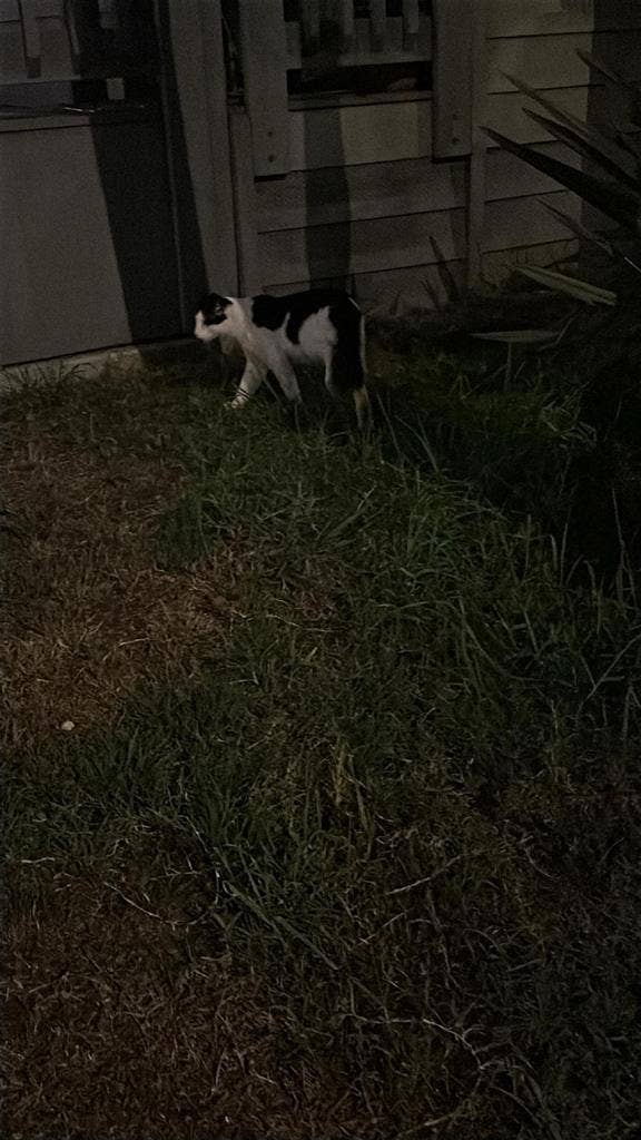 Beautiful Santa Monica apartment