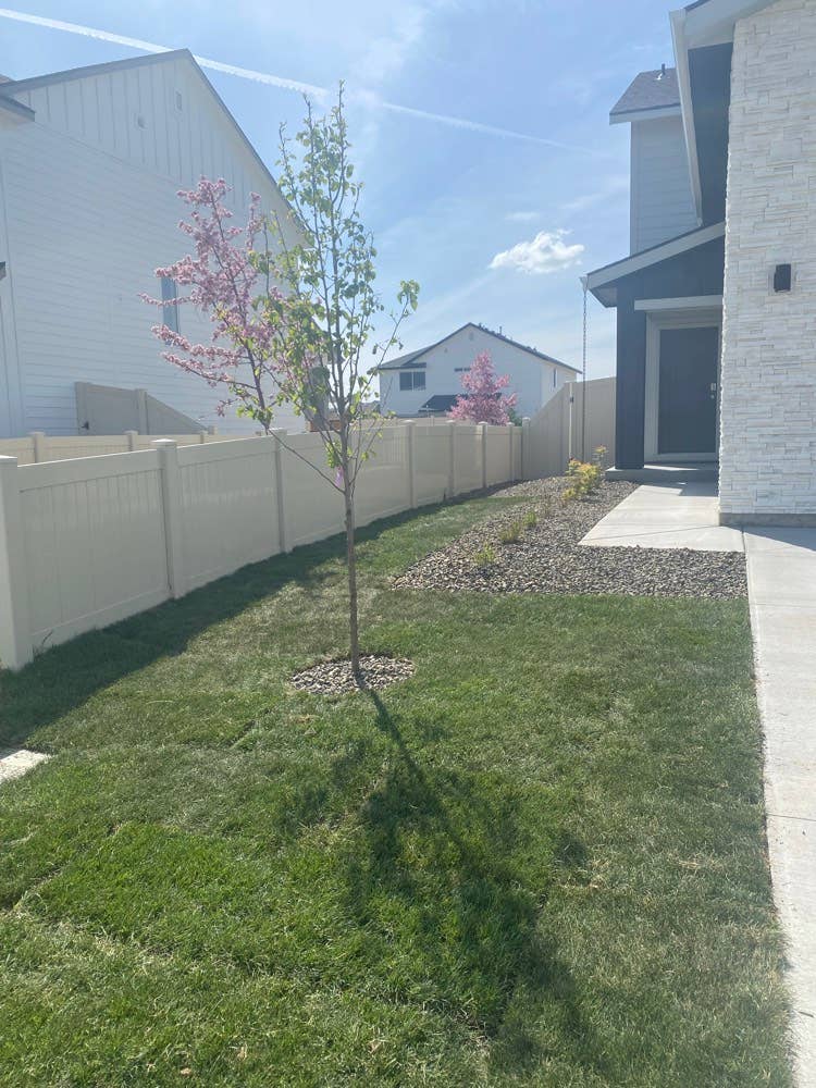Sunshiny Room in Meridian Home