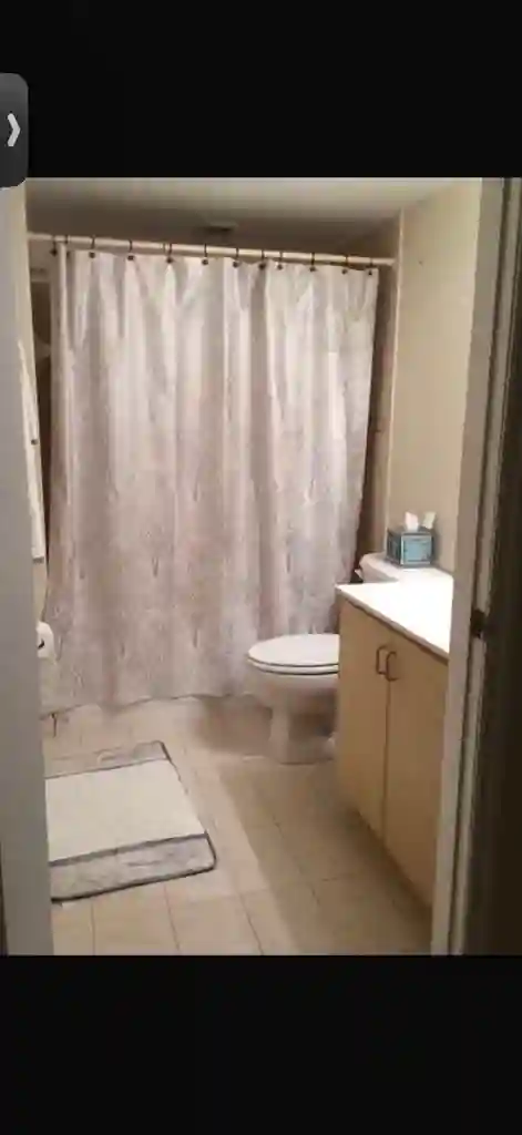 Looking for Roommate (female)