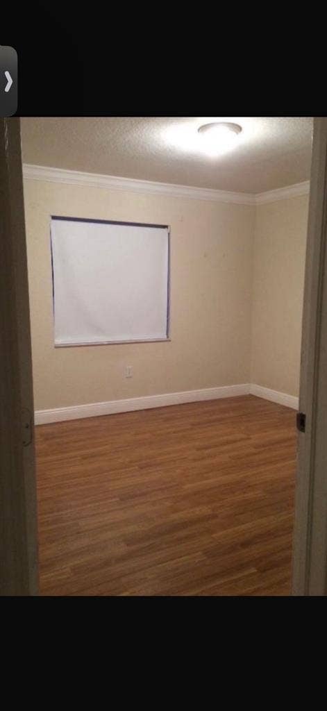 Looking for Roommate (female)