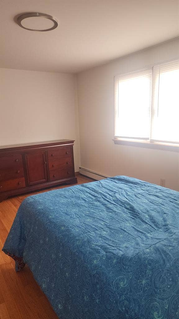 Profesional Travel and Student