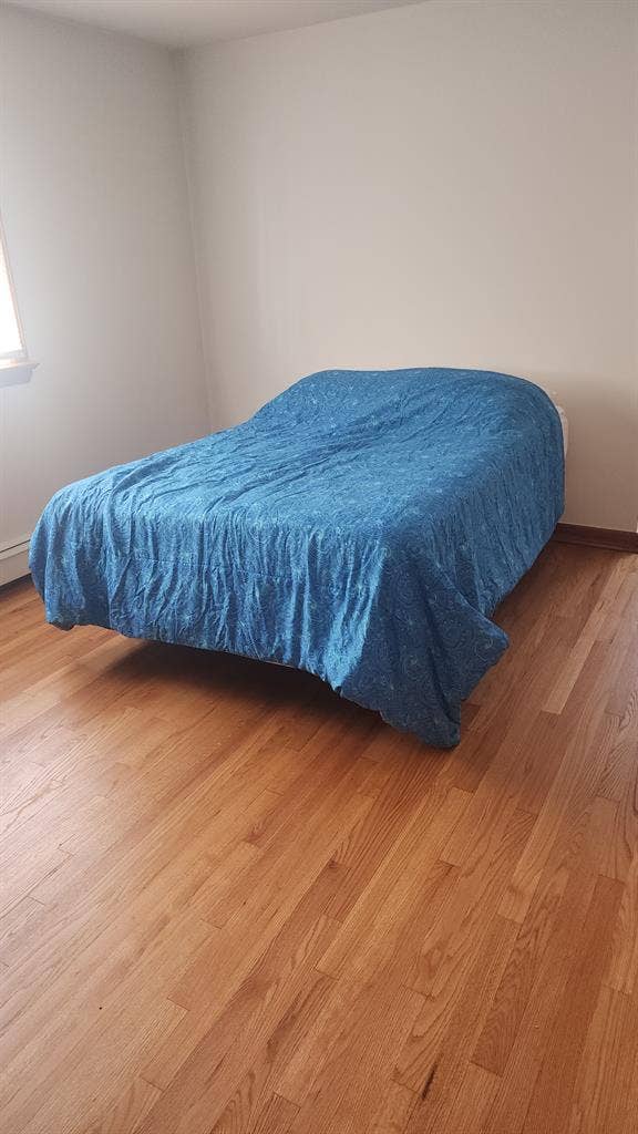 Profesional Travel and Student