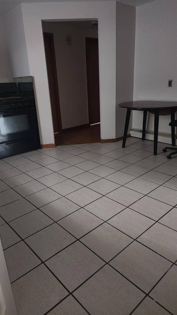 Profesional Travel and Student