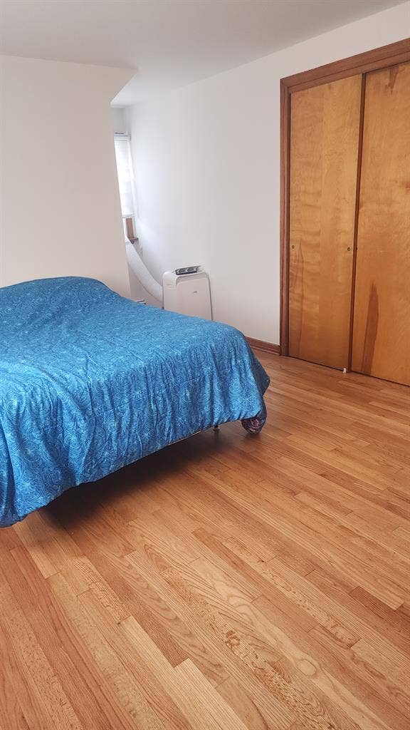 Profesional Travel and Student