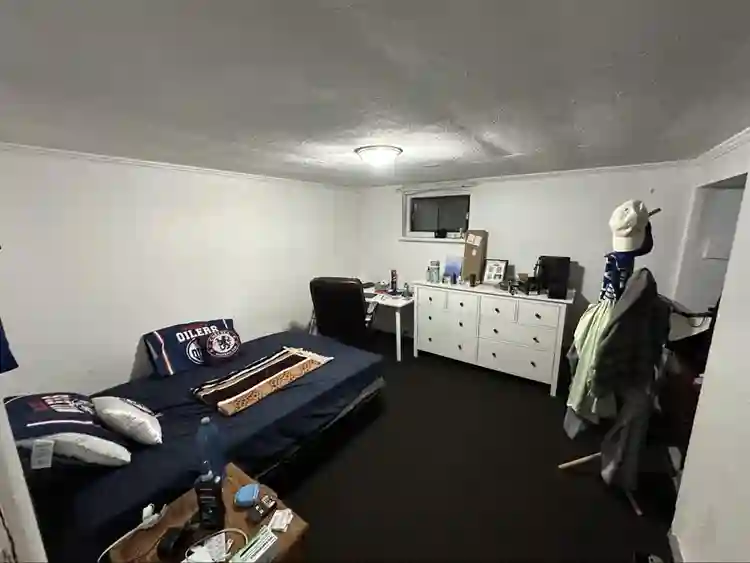 Room or entire apartment for rent