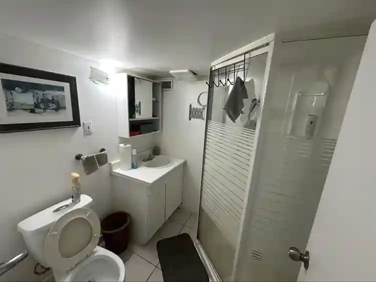 Room or entire apartment for rent