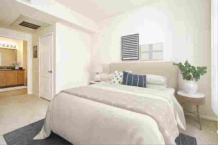 Spacious Room for rent