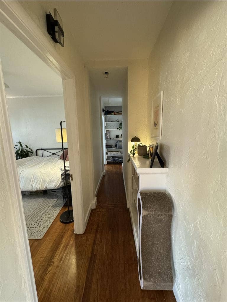 One bedroom open to rent!