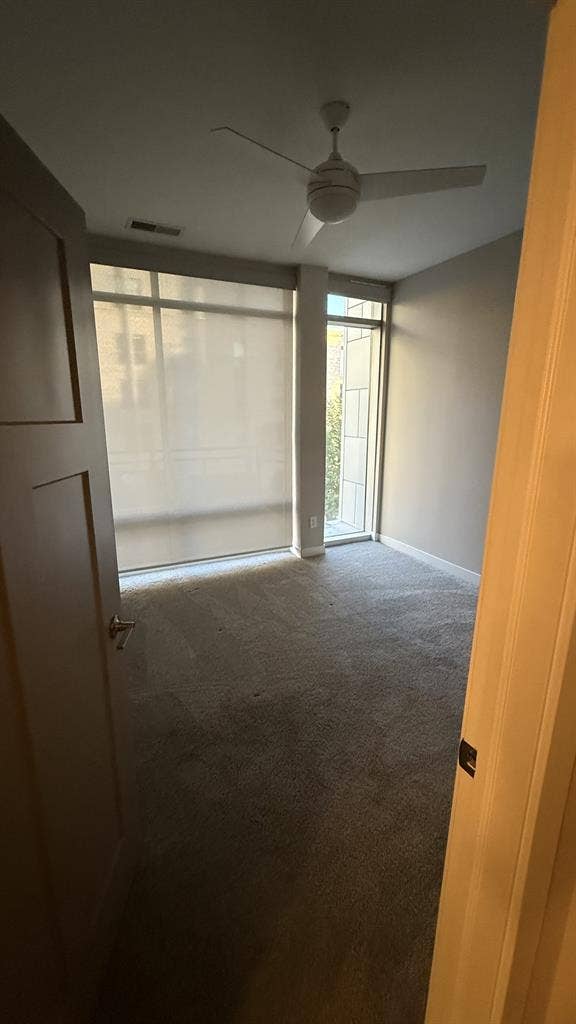 5 month sublease available now