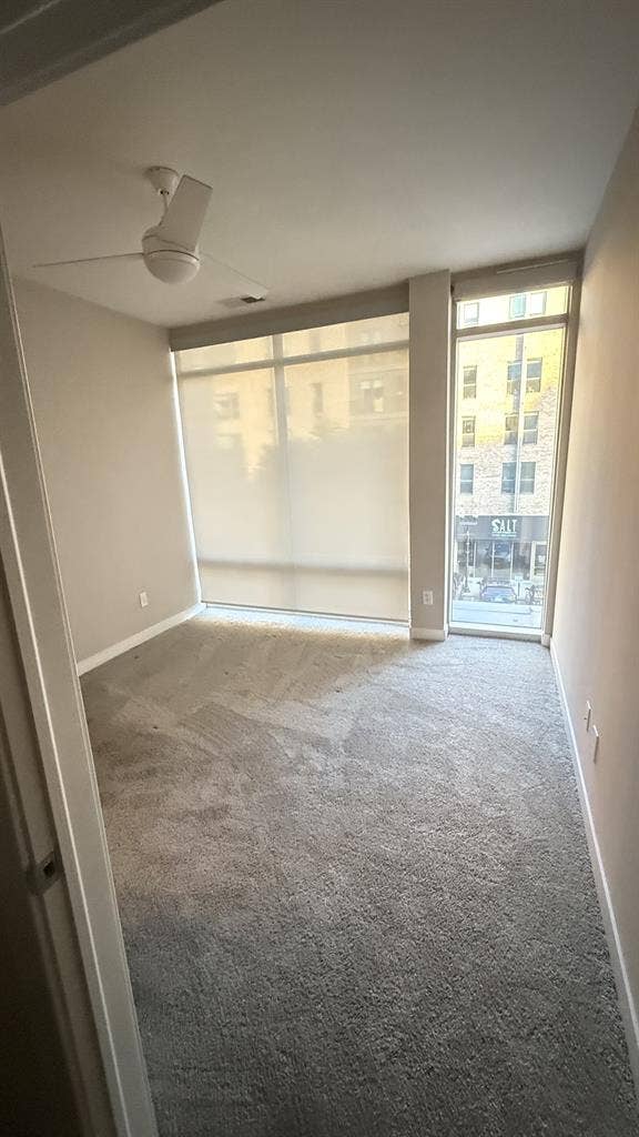 5 month sublease available now