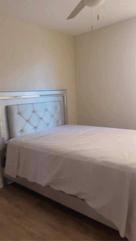 Looking for a roommate