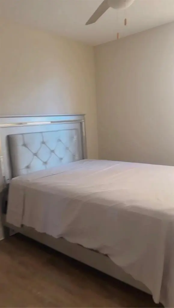 Looking for a roommate