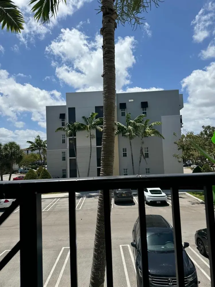 Looking for a roommate