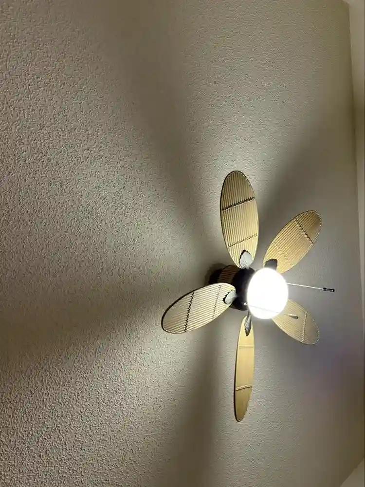 Available latest November 5