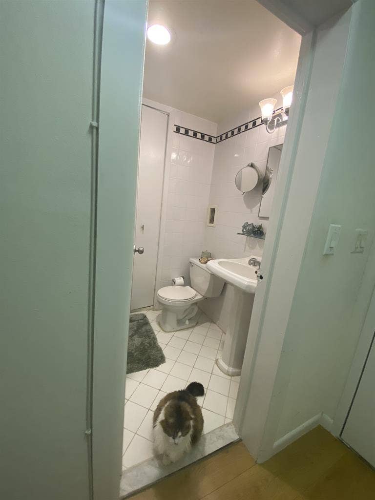 Herald Towers sublet