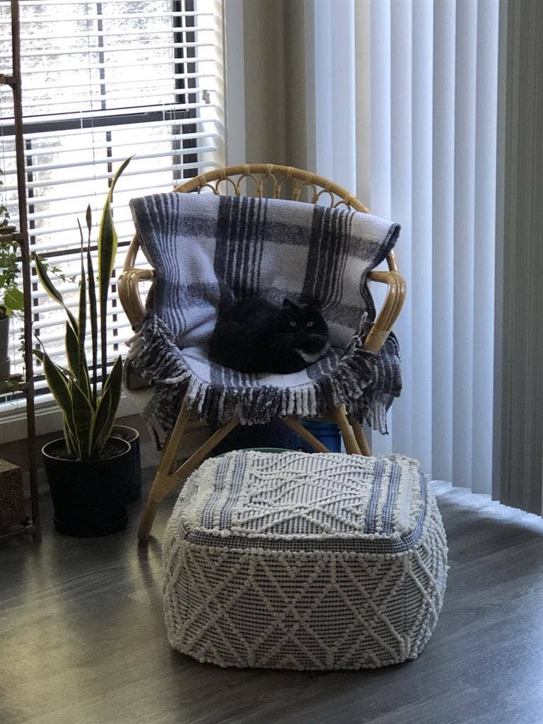 Roommate January 
North Druid Hills