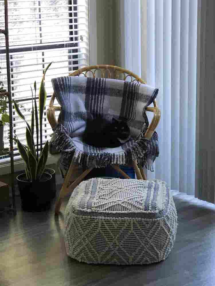 Roommate January 
North Druid Hills